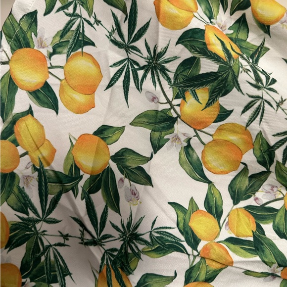 Sundae School Yellow Green White Lemon NoveltyPrint Men’s Pull On Shorts M NWOT - Picture 6 of 12